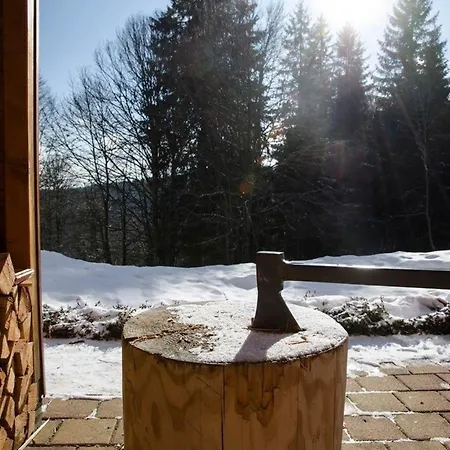בית נופש Ferienhaus In Feldberg Schwarzwald Mit Privatem Pool Neuglashutten