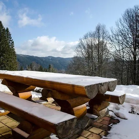 Ferienhaus In Feldberg Schwarzwald Mit Privatem Pool Neuglashutten